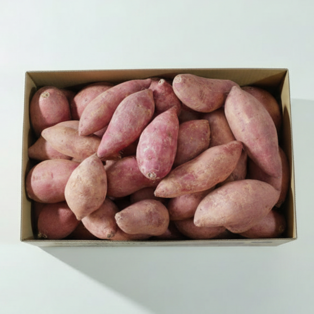레드이츠 중사이즈 고구마 해남 꿀고구마, 1개, 10kg 대표 이미지