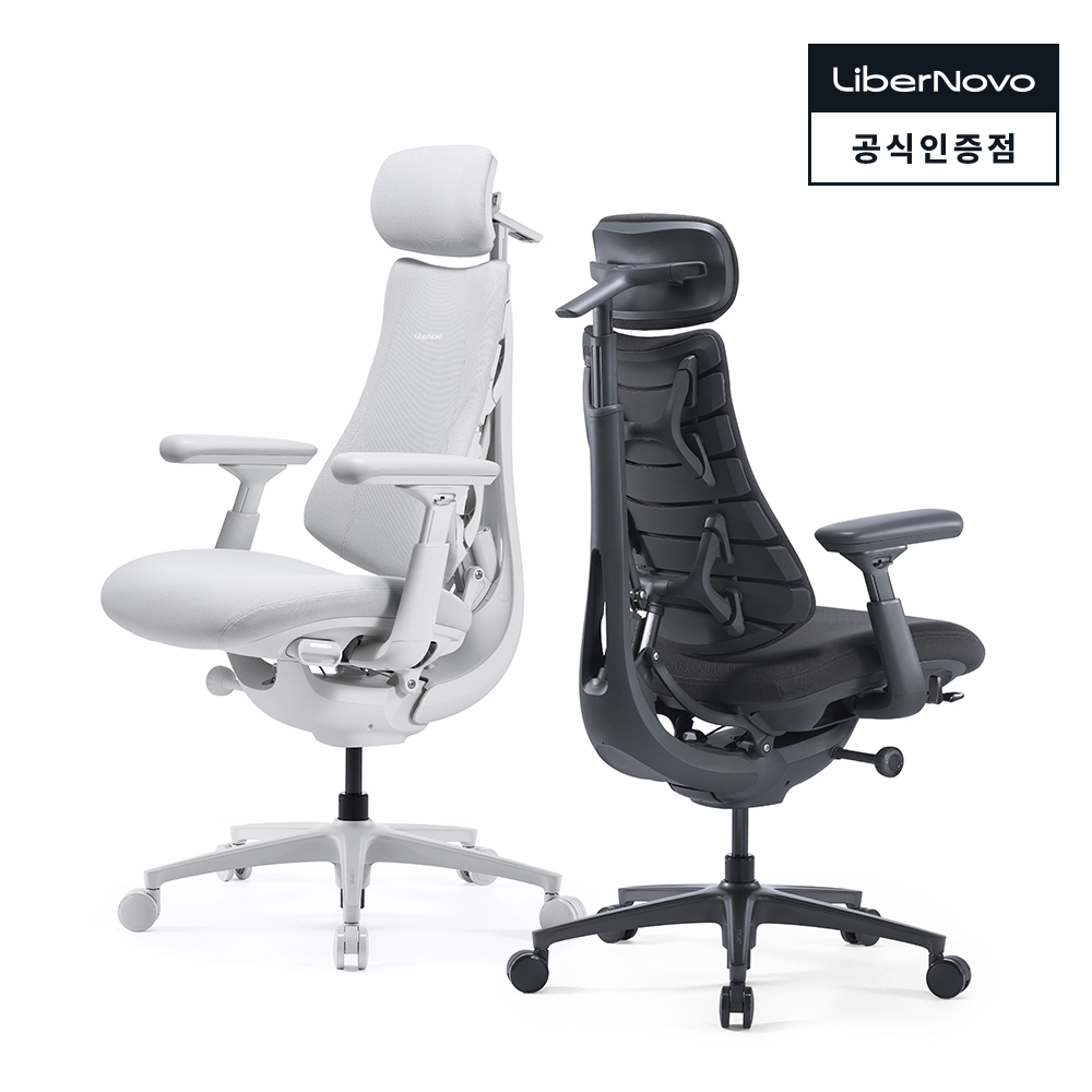 다이나믹 인체공학 의자 LiberNovo Omni PRO 리버노보 옴니 프로 사무용 의자(풋레스트 포함) 대표 이미지