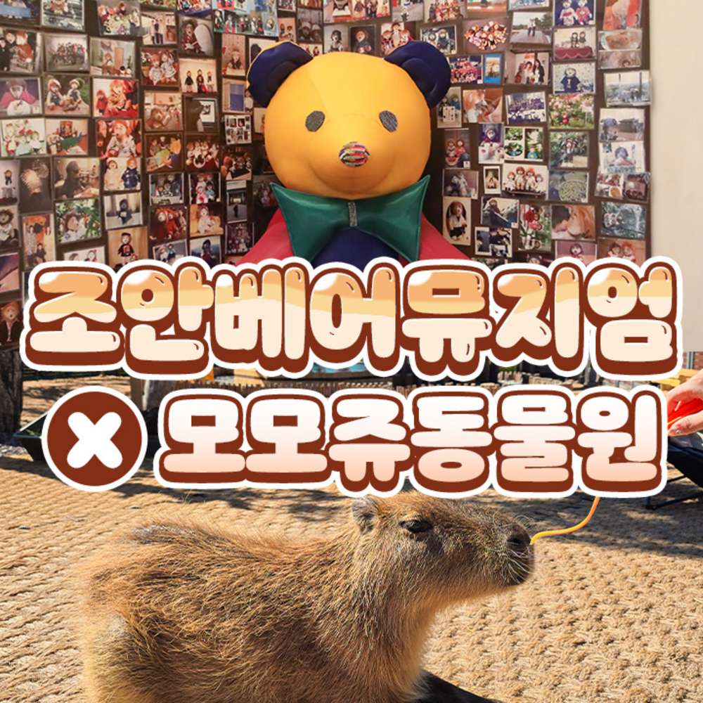★특가★ 조안베어뮤지엄+모모쥬동물원(2시간 이용권) 대표 이미지