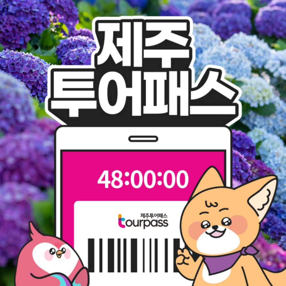 ★제주투어패스 24시간권 특가★ 대표 이미지