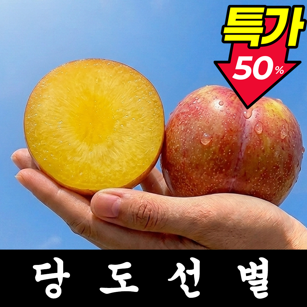 [24시간초특가] 새콤달콤 고당도 후무사자두 왕자두 대표 이미지