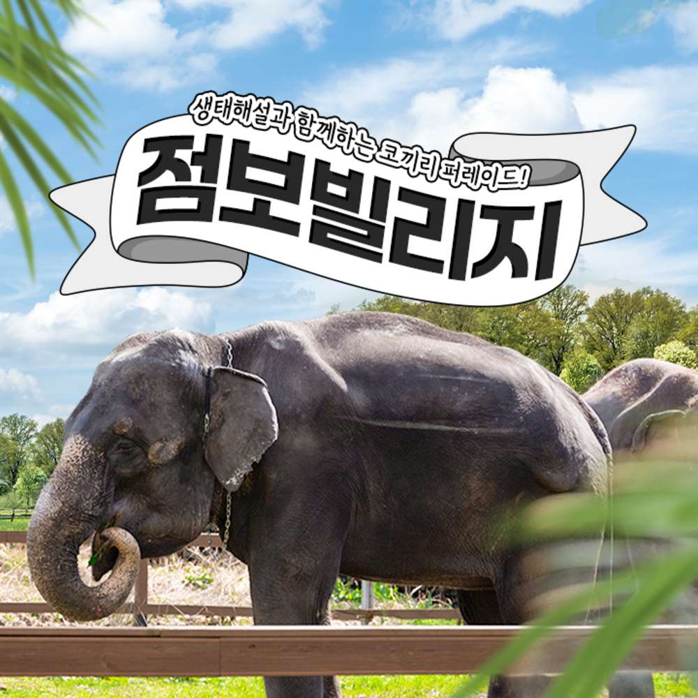 점보빌리지 입장권(입장+퍼레이드+생태해설) 대표 이미지