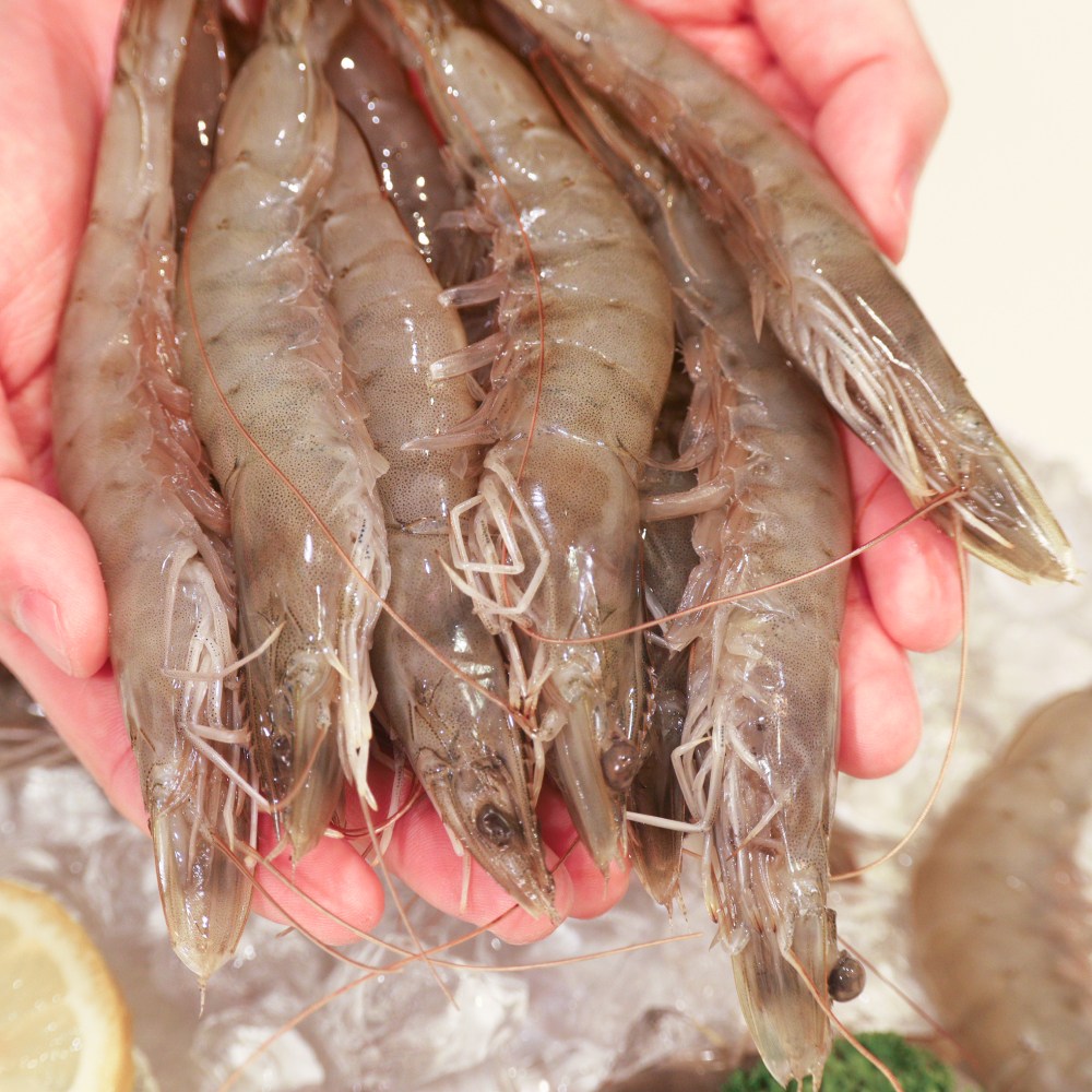 프리미엄 청정 흰다리새우 20미, 1개, 500g 대표 이미지