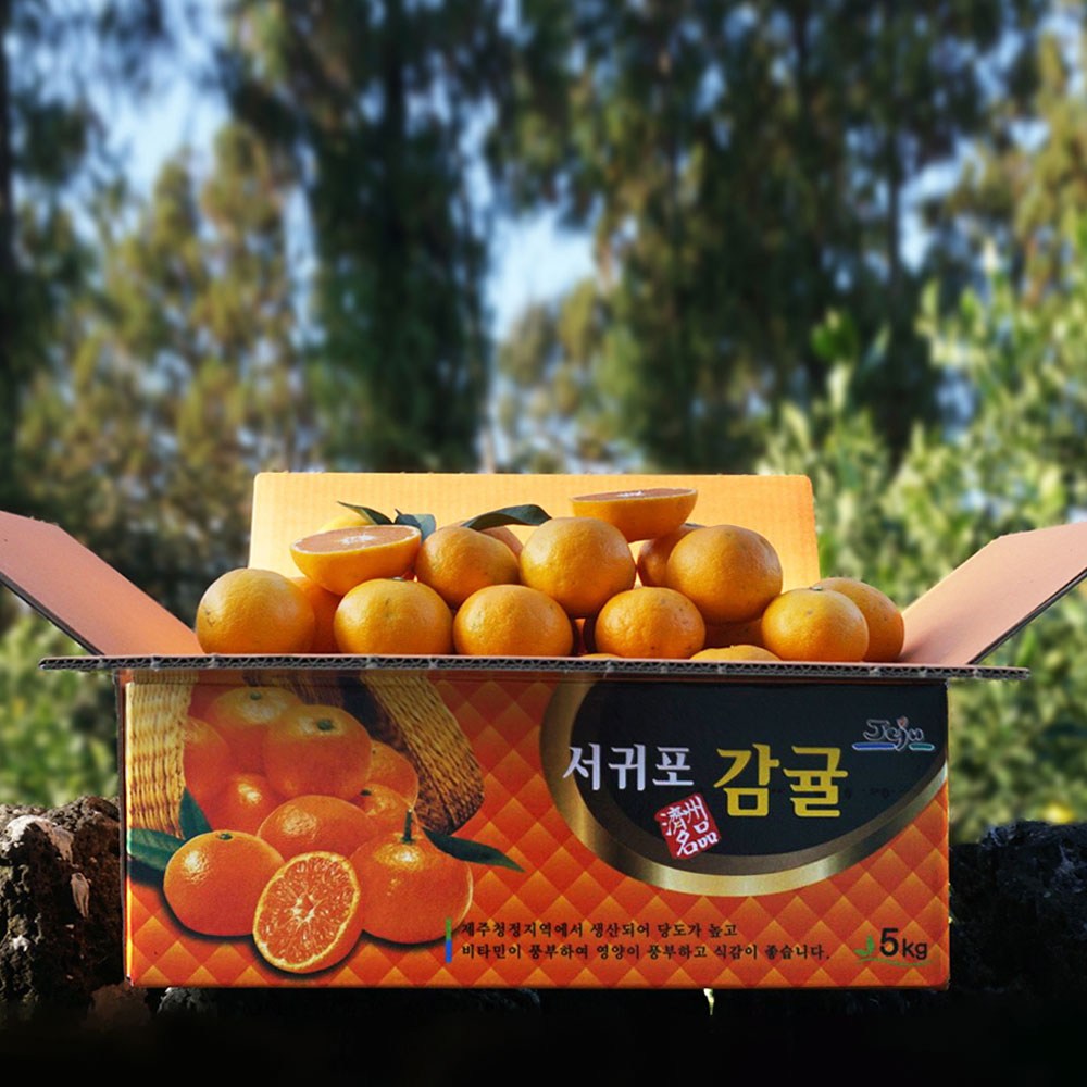 귤담원 제주 제철 감귤, 01.감귤 3kg 꼬마, 1박스 대표 이미지